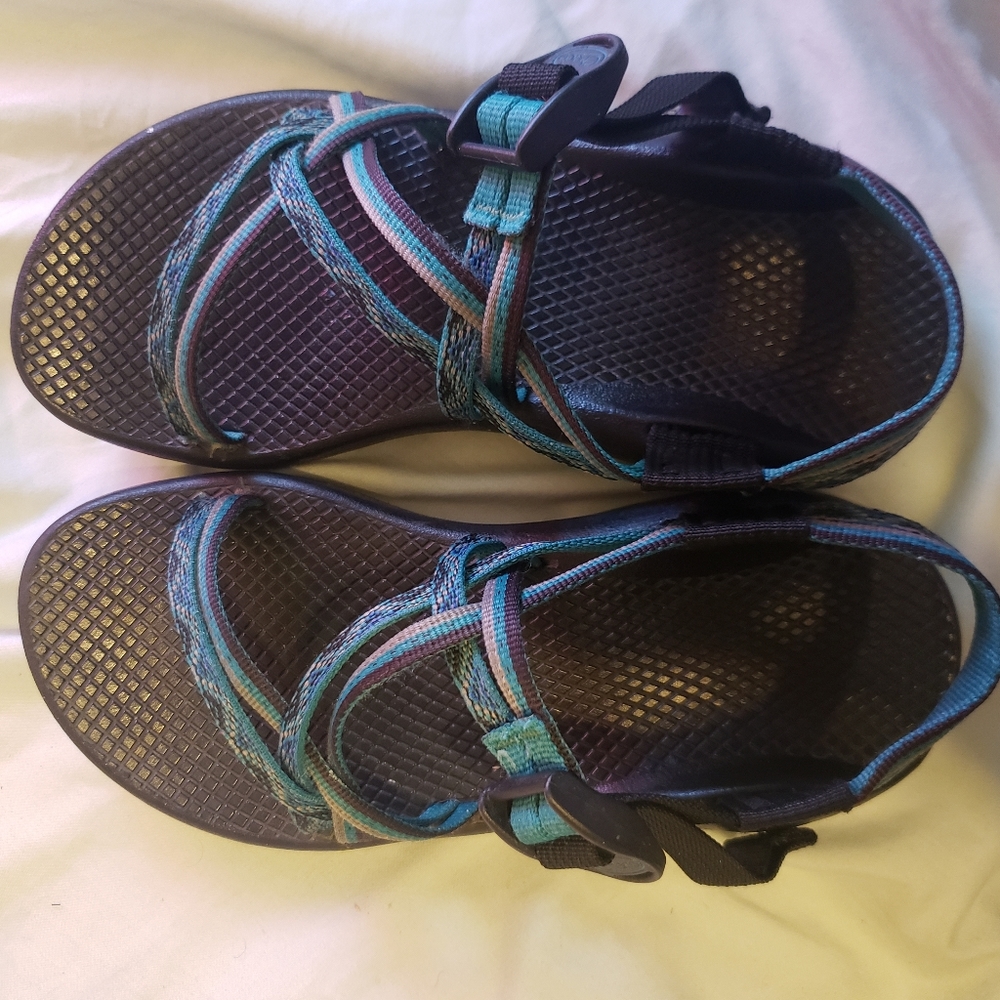 ZX/2 Chaco - Picture 2 of 3